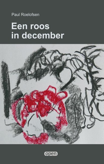 Een roos in december, Paul Roelofsen - Paperback - 9789490834913