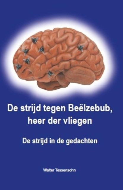 De strijd tegen Beëlzebub, heer der vliegen, Walter Tessensohn - Ebook - 9789491026089