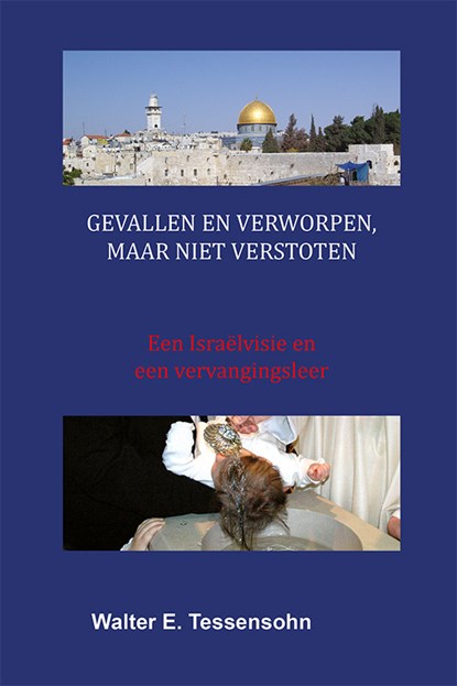 Gevallen en verworpen, maar niet verstoten, Walter Tessensohn - Paperback - 9789491026270