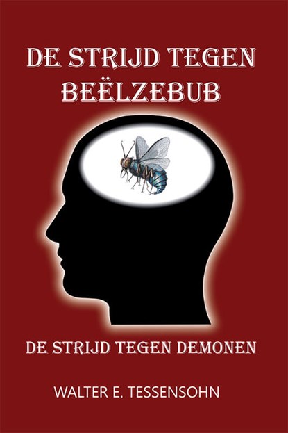De strijd tegen Beëlzebub, Walter Tessensohn - Paperback - 9789491026928