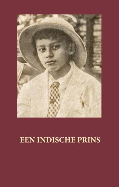 Een Indische Prins, Harry Smith - Paperback - 9789491032288