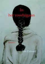 In het voorbijgaan - Ron Elshout - 9789491034886