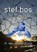 In een ander licht, Stef Bos - Paperback - 9789491070013