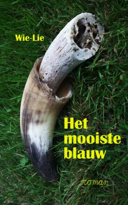 Het mooiste blauw, Wiel Goossens - Paperback - 9789491080944