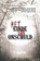 Het einde van onschuld, C. Laffet - Paperback - 9789491144707