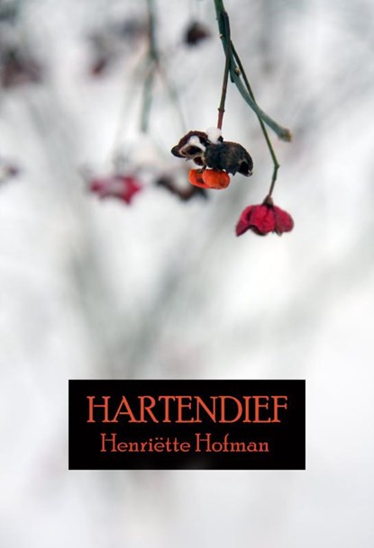Hartendief, Henriëtte Hofman - Paperback - 9789491254154