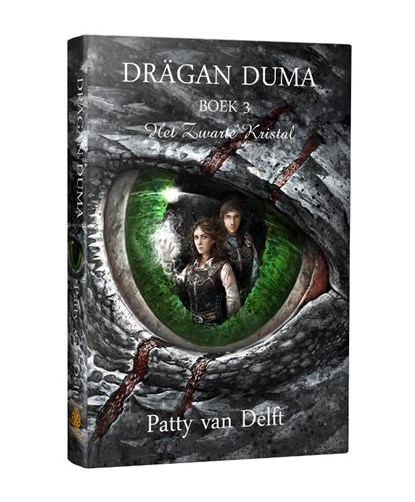 Het Zwarte Kristal, Patty van Delft - Gebonden - 9789491300974