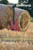 Dialectpop, Jan Schepers - Paperback - 9789491439957