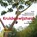 Kruidenwijsheid, Marjanne Huising - Paperback - 9789491557026