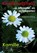 Kruidenwijsheid, Marjanne Huising - Losbladig - 9789491557156
