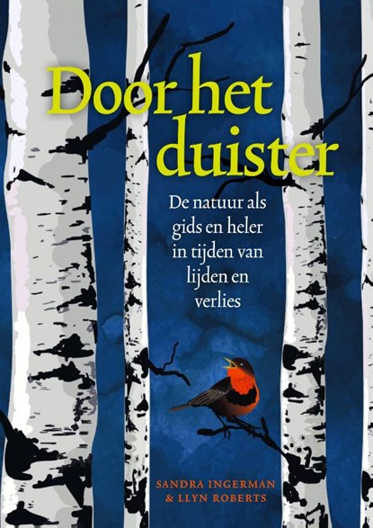 Door het duister, Sandra Ingerman ; Llyn Roberts - Paperback - 9789491557811