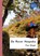 De rover Hoepsika, Paul Biegel - Paperback - 9789491638732