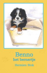Benno het bernertje - Hermien Stok - 9789491670015