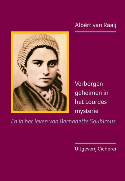 Verborgen geheimen in het Lourdes-mysterie, Albèrt van Raaij - Paperback - 9789491748547