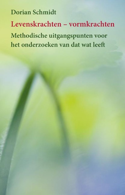 Levenskrachten - vormkrachten, Dorian Schmidt - Paperback - 9789491748820