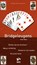 Bridgeleugens, Anton Maas - Paperback - 9789491761522