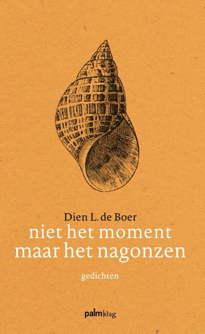 Niet het moment maar het nagonzen, Dien L. de Boer - Paperback - 9789491773150