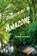 Groeten uit de Amazone, Jan-Willem van den Enden - Paperback - 9789491777837