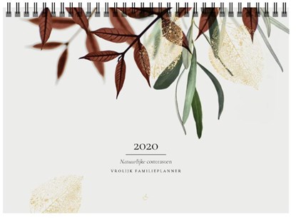 Vrolijk Familieplanner 2020, Essencio - Paperback - 9789491808531