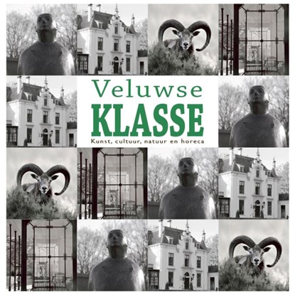 Veluwse Klasse, Willem Beemers ; Anne Van der Meiden - Gebonden - 9789491826580
