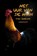 Het uur van de haan, Thea Dubelaar - Paperback - 9789491833403