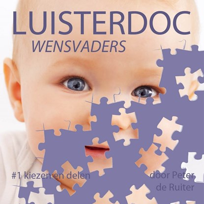 Kiezen en delen, Peter de Ruiter - Luisterboek MP3 - 9789491833526