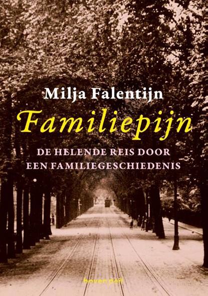 Familiepijn, Milja Falentijn - Paperback - 9789491835537