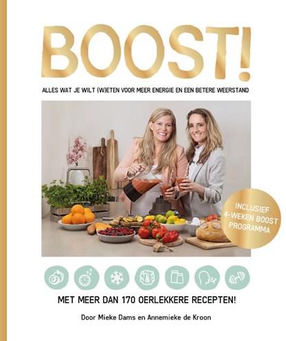 Boost!, Annemieke de Kroon ; Mieke Dams - Gebonden - 9789491863691