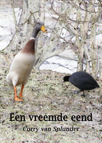 Een vreemde eend, Corry van Splunder - Paperback - 9789491872716