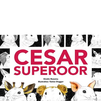 Cesar superoor, Kirstin Rozema - Gebonden - 9789491886546