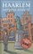 Haarlem nergens anders!, Frans van Deijl - Gebonden - 9789491936067