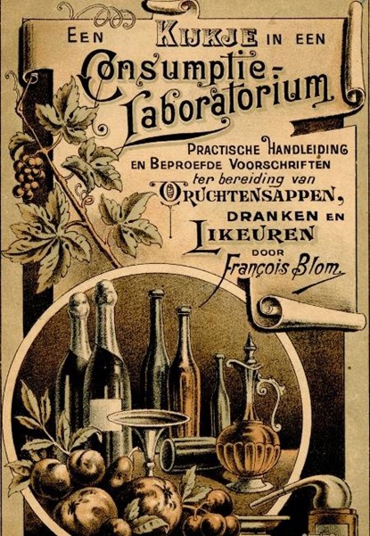 Een kijkje in een consumptie-laboratorium, Francois Blom - Paperback - 9789491982026