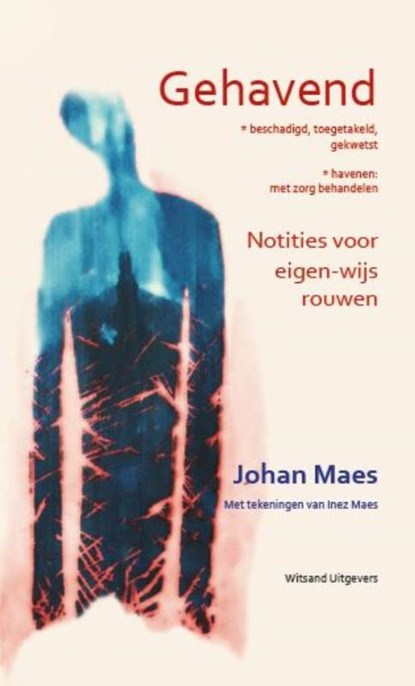 Gehavend, Johan Maes - Gebonden - 9789492011213