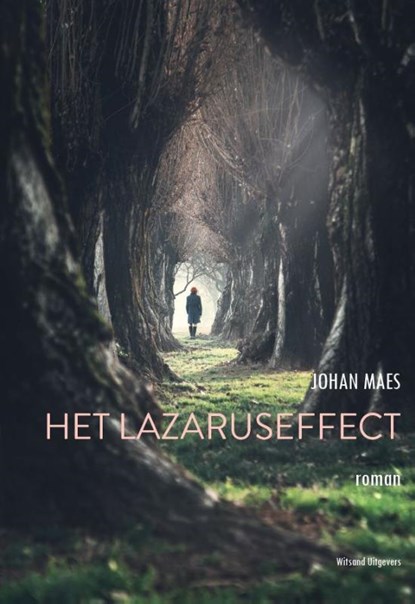 Het Lazaruseffect, Johan Maes - Paperback - 9789492011497