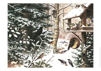 Schoolplaat Vogels in de Winter, niet bekend - Losbladig - 9789492033284