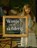 Wenje yn in skilderij, Lida Dykstra - Paperback - 9789492052209