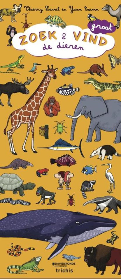 Zoek en vind de dieren, Laval ; Thierry ; Yann Couvin - Gebonden - 9789492077516