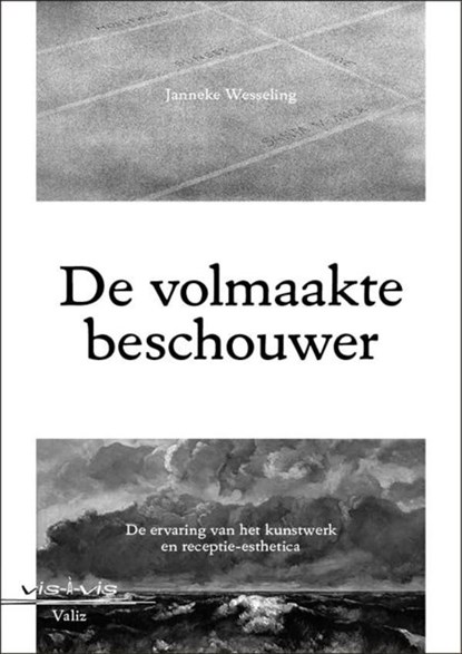 De volmaakte beschouwer, Janneke Wesseling - Ebook - 9789492095091