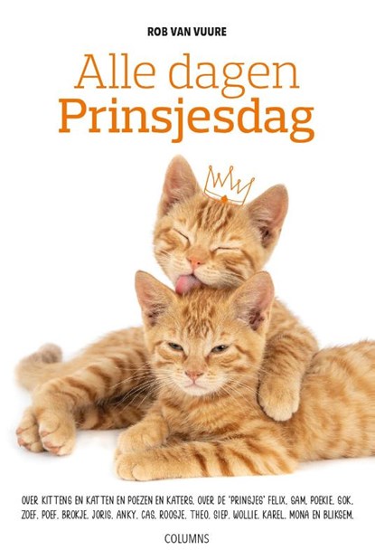Alle dagen prinsjesdag, Rob van Vuure - Paperback - 9789492107329
