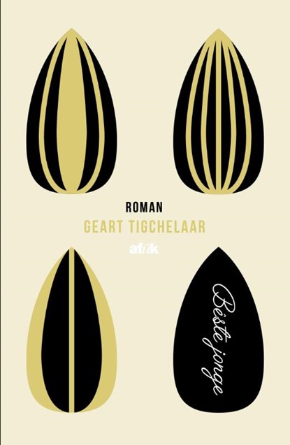 Bêste jonge, Geart Tigchelaar - Paperback - 9789492176233