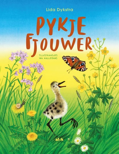 Pykje fjouwer, Lida Dykstra - Gebonden - 9789492176455