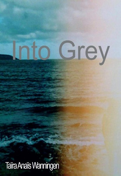 Into Grey, Taïra Anaïs Wanningen - Paperback - 9789492182906