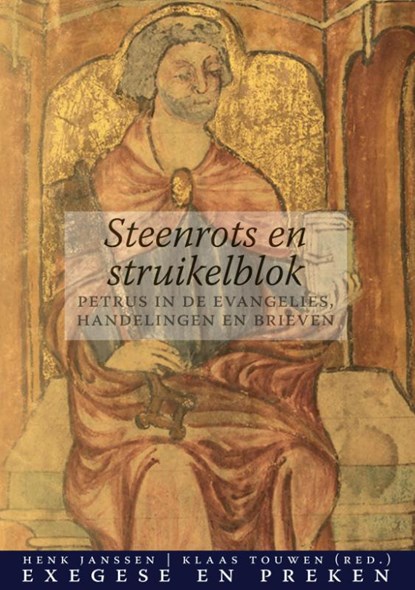 Steenrots en struikelblok, Henk Janssen ; Klaas Touwen - Paperback - 9789492183521