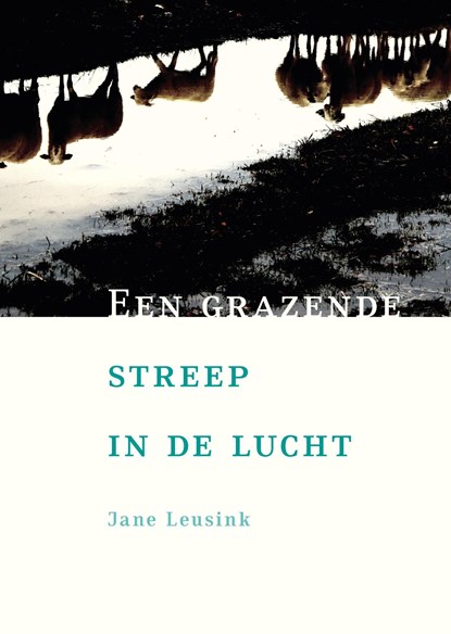 Een grazende streep in de lucht, Jane Leusink - Ebook - 9789492190093