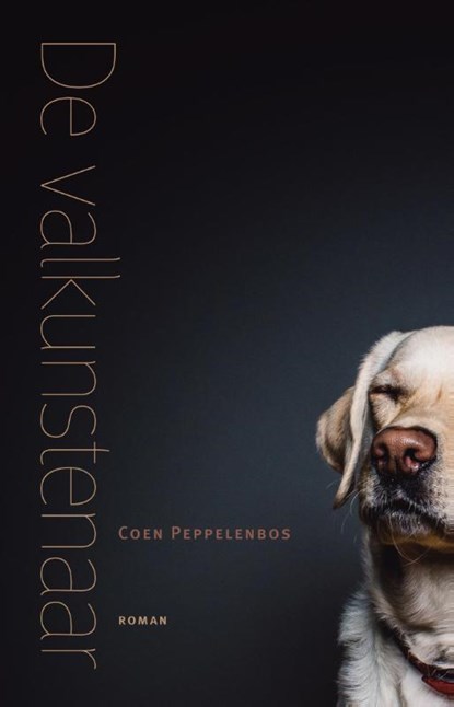 De valkunstenaar, Coen Peppelenbos - Paperback - 9789492190284