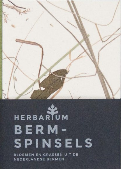 Bermspinsels, Studio Tjeerd Veenhoven - Gebonden - 9789492206350