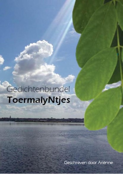 ToermalyNtjes, Ariënne van Tol-van Niedek - Paperback - 9789492212061