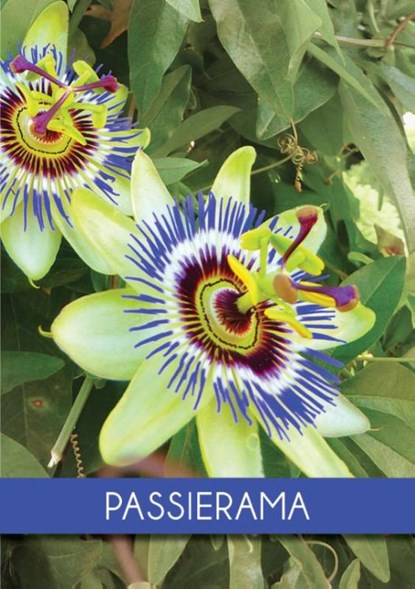 Passierama, Elly Persons ; Arie van Driel ; Claudia de Rave-Reijpert - Paperback - 9789492212184