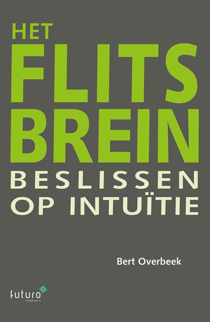 Het flitsbrein, Bert Overbeek - Ebook - 9789492221018