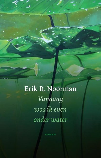 Vandaag was ik even onder water, Erik R. Noorman - Gebonden - 9789492241535